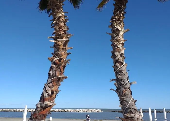 Appartamento Lido 10 Lido delle Nazioni